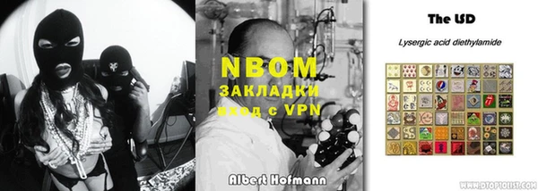 гидропоника Новозыбков