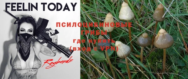 бутират Новодвинск