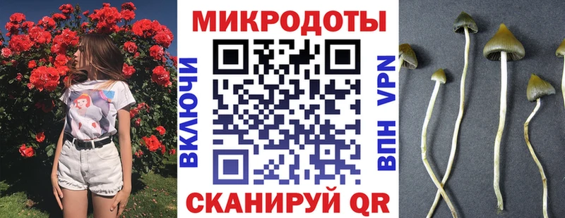 Псилоцибиновые грибы прущие грибы  закладки  Барабинск 