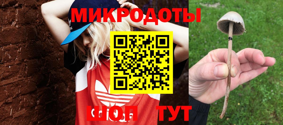 Галлюциногенные грибы мицелий  Вход с VPN  Барабинск 