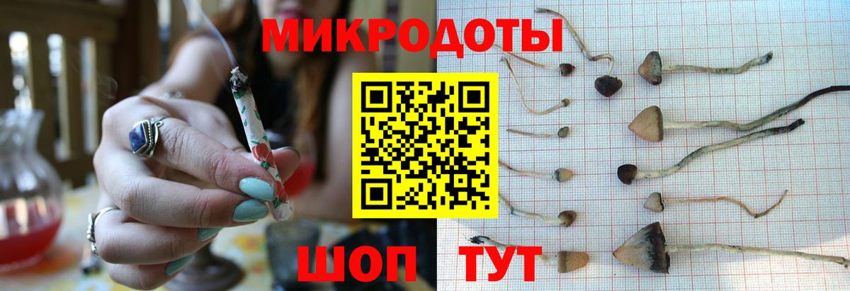 Псилоцибиновые грибы Psilocybe Барабинск
